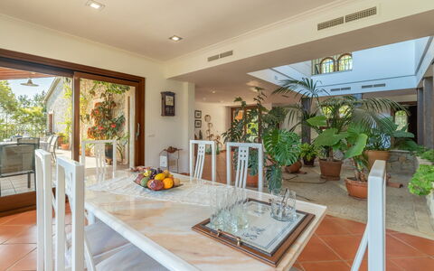 Turixant Dalt: Plant, Property, Furniture, Table, Flowerpot, Houseplant, Wood, Interior Design, Porch, Chair