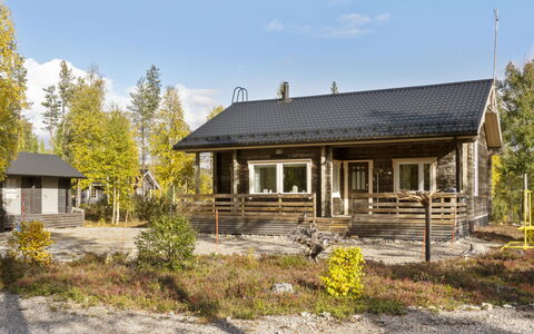 Lapinvouti: Wood, Cottage, Log Cabin, Forest, Shed, Garden Buildings, Larch, Woodland, Wood Stain