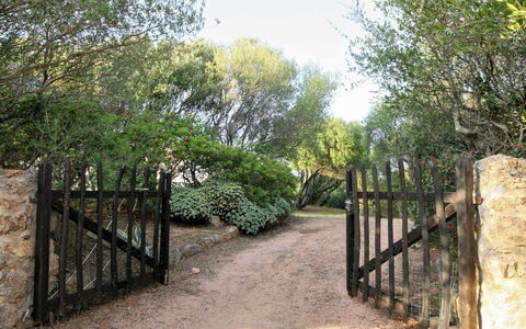 Contraruia: Plant, Sky, Natural Landscape, Fence, Tree, Land Lot, Vegetation, Road Surface, Shade, Wood