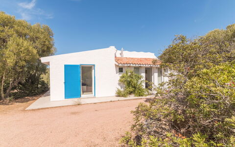 Contraruia: Plant, Sky, Plant Community, Building, Window, Land Lot, Tree, Landscape, House