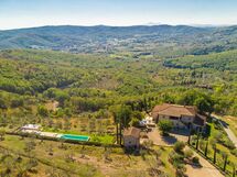 The entire hamlet
