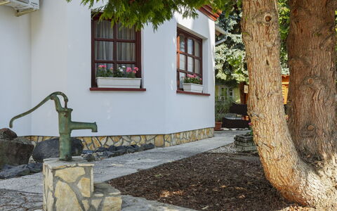 Tamas: Rock, Cottage, Garden, Stone Wall, Yard, Landscaping, Cobblestone, Backyard, Walkway