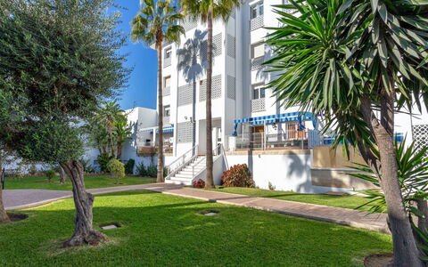 Mirador del Saltillo: Plant, Building, Tree, Window, Sky, Urban Design, Arecales, Grass, Neighbourhood, Residential Area