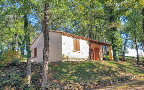 Le Châtaignier: Plant, Window, Leaf, Tree, Building, Natural Landscape, Wood, Land Lot, Biome, Grass