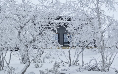 Villa Viima: Snow, Branch, Winter, White, Wood, Twig, Freezing, Home, Slope