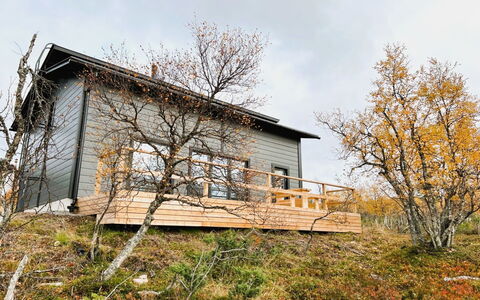 Villa Viima: Wood, House, Home, Cottage, Land Lot, Siding, Rural Area, Hardwood, Plank, Log Cabin