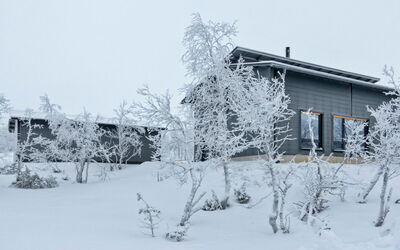 Villa Viima