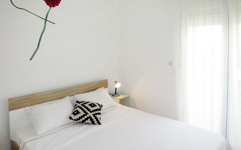 Tomislav: Plant, Flower, Furniture, Property, Comfort, Product, Textile, Interior Design, Lighting, Architecture