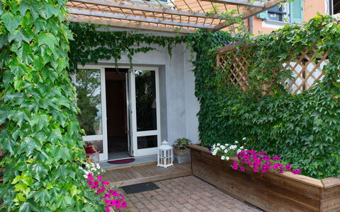 Sant'Evasio: Flower, Plant, Property, Building, Botany, Architecture, Door, Window, Wall