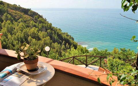 Arborea: Sea, Ocean, Coastal And Oceanic Landforms, Coast, Tropics, Eco Hotel, Balcony, Bay, Resort, Outdoor Furniture
