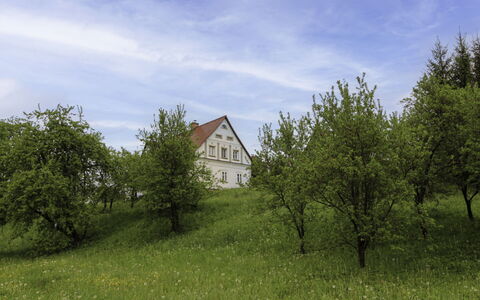 Frilo: Water, Plant, Building, Daytime, Property, Sky, Swimming Pool, Azure, Tree, Body Of Water