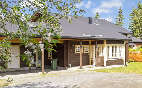 Tahkontupa: Roof, House, Cottage, Home, Residential Area, Land Lot, Siding, Shade, Porch, Estate