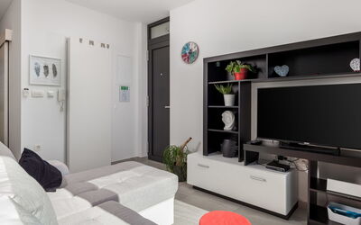 Accommodation:&nbsp;Albi 316.2