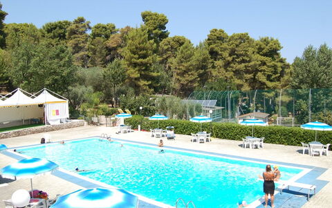 Happy Easy: Water, Sky, Plant, Property, Swimming Pool, Azure, Blue, Tree, Body Of Water, Leisure