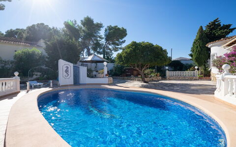 Salamanca: Water, Plant, Property, Swimming Pool, Sky, Light, Blue, Nature, Azure, Tree