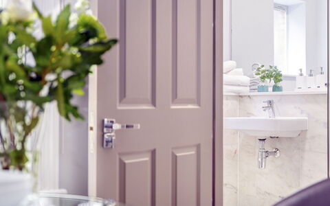 Cleveland Apartments: Plant, Mirror, Tap, Sink, Door, Building, Plumbing Fixture, Purple, Wood