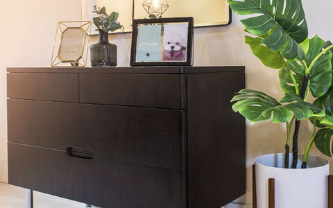 Sir Jl: Plant, Property, White, Flowerpot, Houseplant, Light, Cabinetry, Lighting, Interior Design, Wood