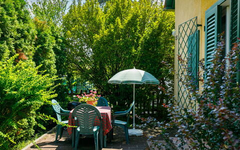 Schilf: Plant, Building, Leaf, Umbrella, Chair, Tree, Shade, Tent, Outdoor Furniture, Grass