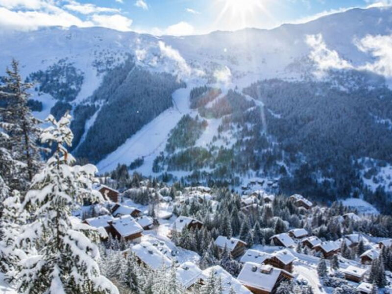 Cedre Blanc