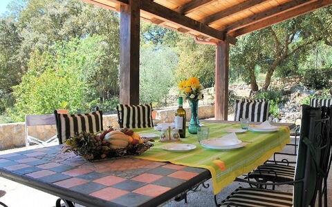 Cycas: Table, Plant, Furniture, Property, Chair, Nature, Outdoor Table, Botany, Building, Porch