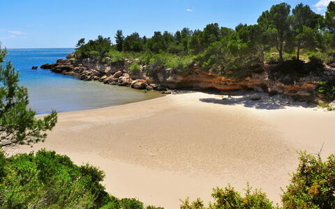 Villa Cantos: Water, Sky, Water Resources, Cloud, Plant Community, Ecoregion, Natural Landscape, Tree, Plant, Vegetation