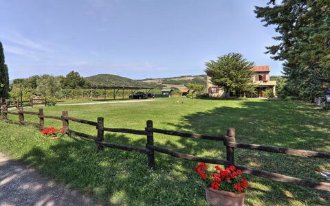 Villa Le Selvole: Sky, Plant, Cloud, Tree, Natural Landscape, Fence, Land Lot, Grass, Shrub
