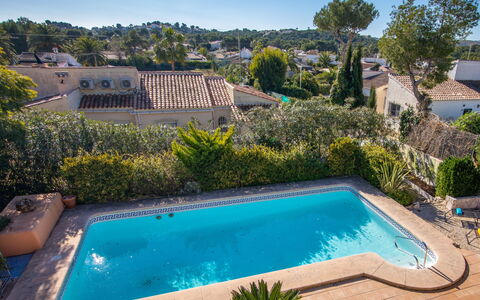 Harmony: Water, Plant, Property, Building, Sky, Swimming Pool, Azure, Green, Nature, Tree