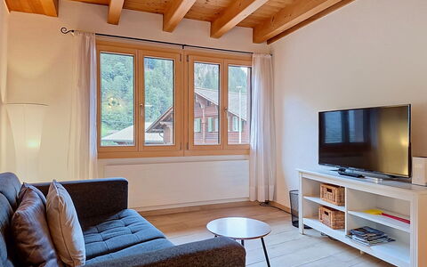 Schwendi 3: Interior Design, Furniture, Flooring, Wood, Floor, Couch, Room, Ceiling, Wood Flooring, Living Room