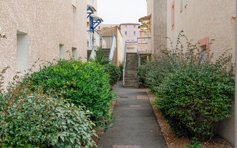 Les Jardins du Nil: Plant, Azure, Building, Road Surface, Vegetation, Neighbourhood, Biome, Grass, Shrub, Groundcover