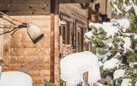 Lindenalm: Plant, Building, Window, Snow, Twig, Branch, Wood, House, Tree, Evergreen