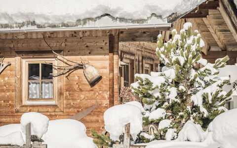 Lindenalm: Plant, Window, Snow, Building, White, Flower, Branch, Twig, Wood, Freezing