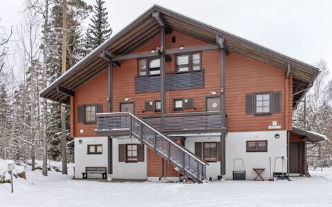 Alppitalo Sinitähti 9 As 1: Tree, Bank, House, Cottage, Lake, Pond, Forest, Log Cabin
