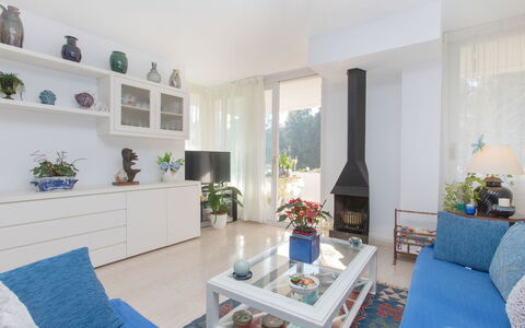 Cala Bona: Plant, Furniture, Property, Couch, Blue, Houseplant, Azure, Table, Interior Design, Flowerpot