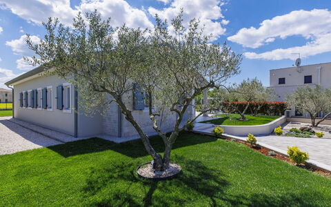 Villa Civitan: Shrub, Garden, Landscaping, Estate, Shade, Yard, Lawn, Driveway, Backyard, Hacienda