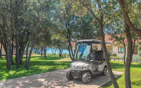 Rovinj Bale 311: Plant, Wheel, Vehicle, Car, Automotive Tire, Tree, Motor Vehicle, Shade