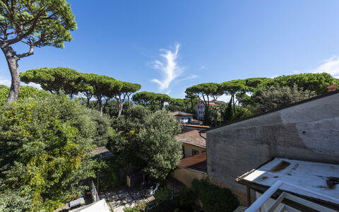 Residenza Morin: Cloud, Sky, Plant, Building, Tree, Urban Design, Arecales, Landscape, Cumulus, Grass