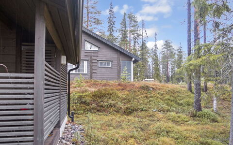 Rukan Pramea: Cottage, Siding, Larch, Trail, Pine Family