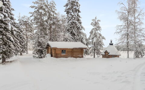 Mänty: Snow, Winter, Tree, Branch, Wood, House, Cottage, Roof, Landscape, Home