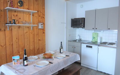 Accommodation:&nbsp;Mélèzes 33 520.8