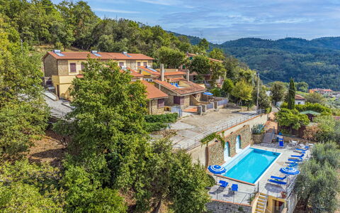 Vinci 962: Furniture, Property, Ceiling Fan, Cabinetry, Table, Couch, Lighting, Picture Frame, Wood, Countertop
