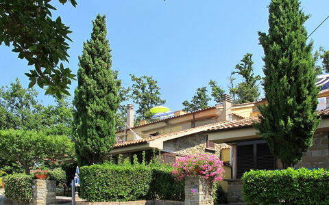 Vinci 962: Plant, Sky, Building, Property, Flower, Leaf, Tree, Vegetation, Window, Neighbourhood