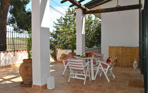 Corbezzolo: Property, Furniture, Table, Plant, Chair, Outdoor Table, Wood, Flowerpot, Shade, Interior Design