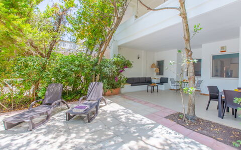 Villa Talise: Furniture, Plant, Chair, Table, Yellow, Interior Design, Building, Houseplant, Couch, Flowerpot