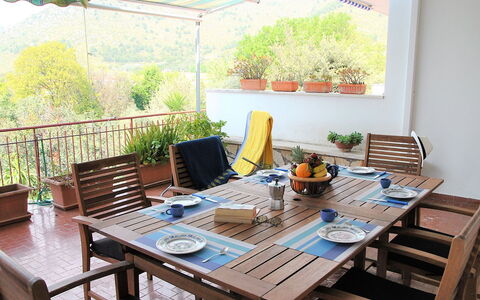 Francesca: Table, Plant, Building, Furniture, Property, Flowerpot, Houseplant, Chair, Green, Window