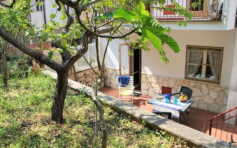 Francesca: Plant, Flowerpot, Window, Houseplant, Building, Outdoor Furniture, Shade, Tree, Twig, Grass