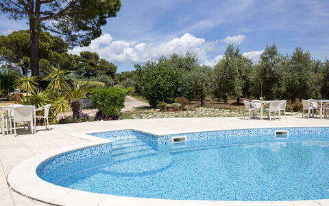 Quattro Rose: Water, Cloud, Sky, Property, Swimming Pool, Azure, Tree, Body Of Water, Rectangle, Shade