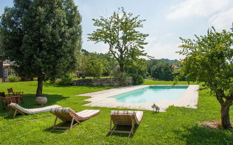 Villa Monia: Plant, Water, Sky, Property, Green, Cloud, Tree, Swimming Pool, Grass, Outdoor Furniture