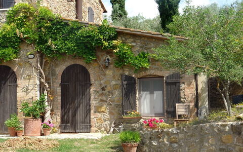Tenuta Le Sodole: Plant, Building, Window, Property, Flowerpot, Door, Flower, Vegetation, Tree