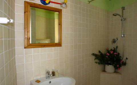 Tenuta Le Sodole: Mirror, Plant, Plumbing Fixture, Property, Photograph, Tap, Sink, Green, Bathroom Sink, Bathroom