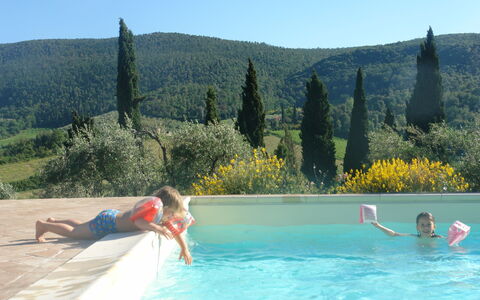 Tenuta Le Sodole: Water, Property, Sky, Swimming Pool, Tree, Azure, Body Of Water, Plant, Outdoor Furniture